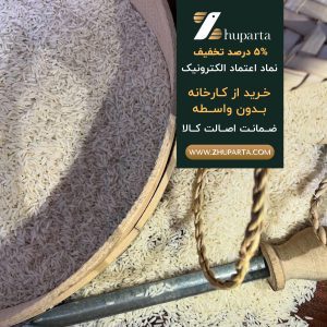 برنج طارم هاشمی فریدونکنار